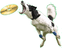 If your software isn't easy to use, throw it to the dogs...Its a frisbee.